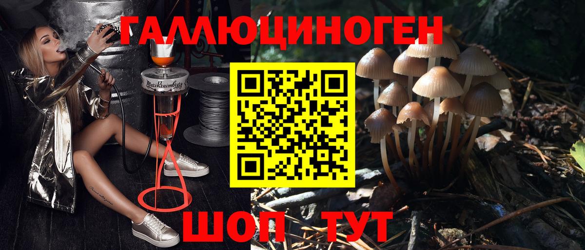 Галлюциногенные грибы мухоморы  Псилоцибиновые грибы прущие грибы  Прохладный  Вход с VPN 